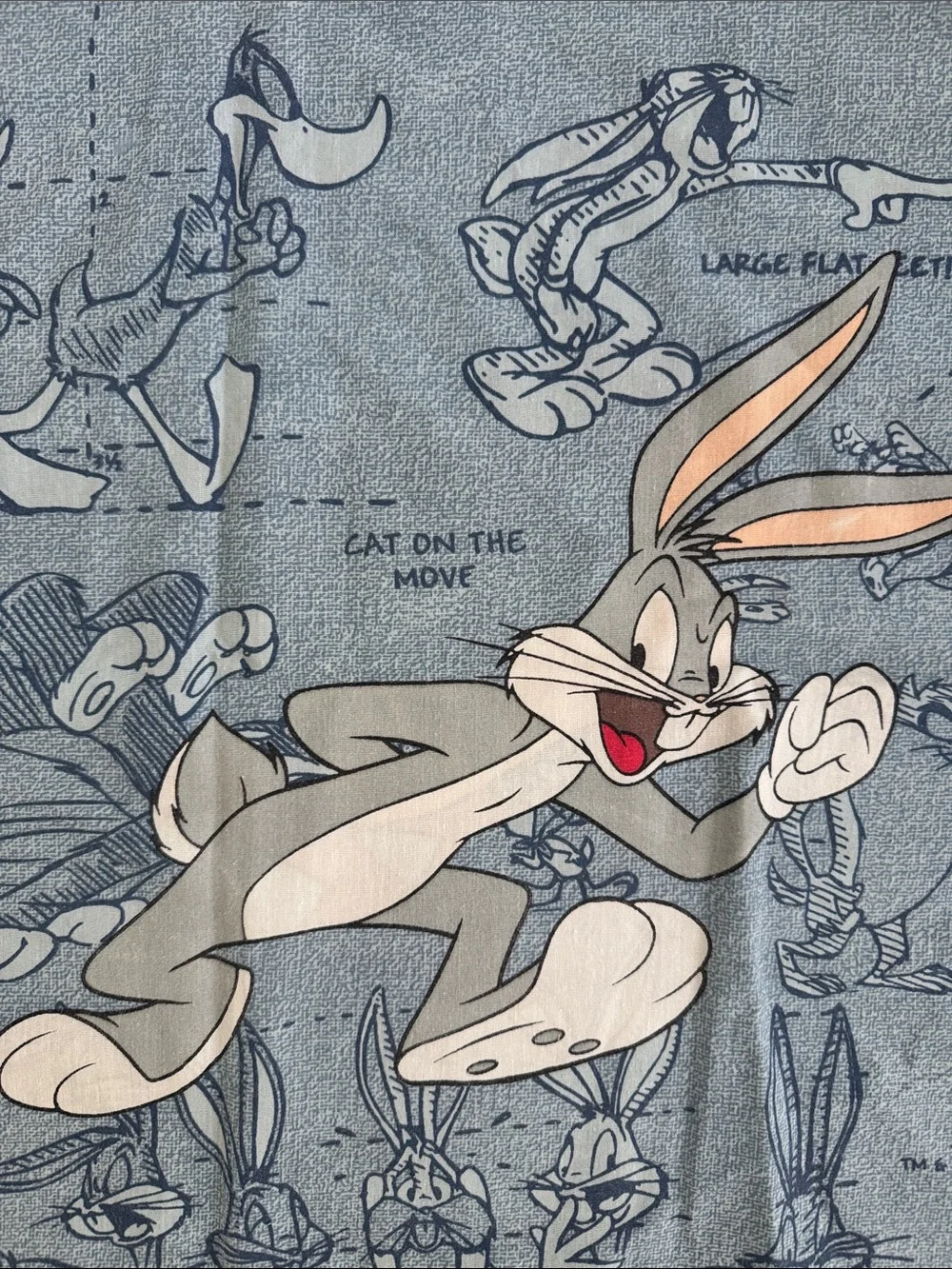 Vtg 1990's Warner Bros Pillow Two Cases Looney Tunes Bugs Bunny Daffy Duck Taz